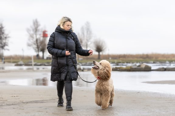 Kommandoübungen mit Ramona und Großpudel Hadi Ramona geht im schwarzen Daunenmantel am Haffufer mit Hadi an der Leine entlang. Hadi achtet genau auf sein Frauchen und die Kommandos.