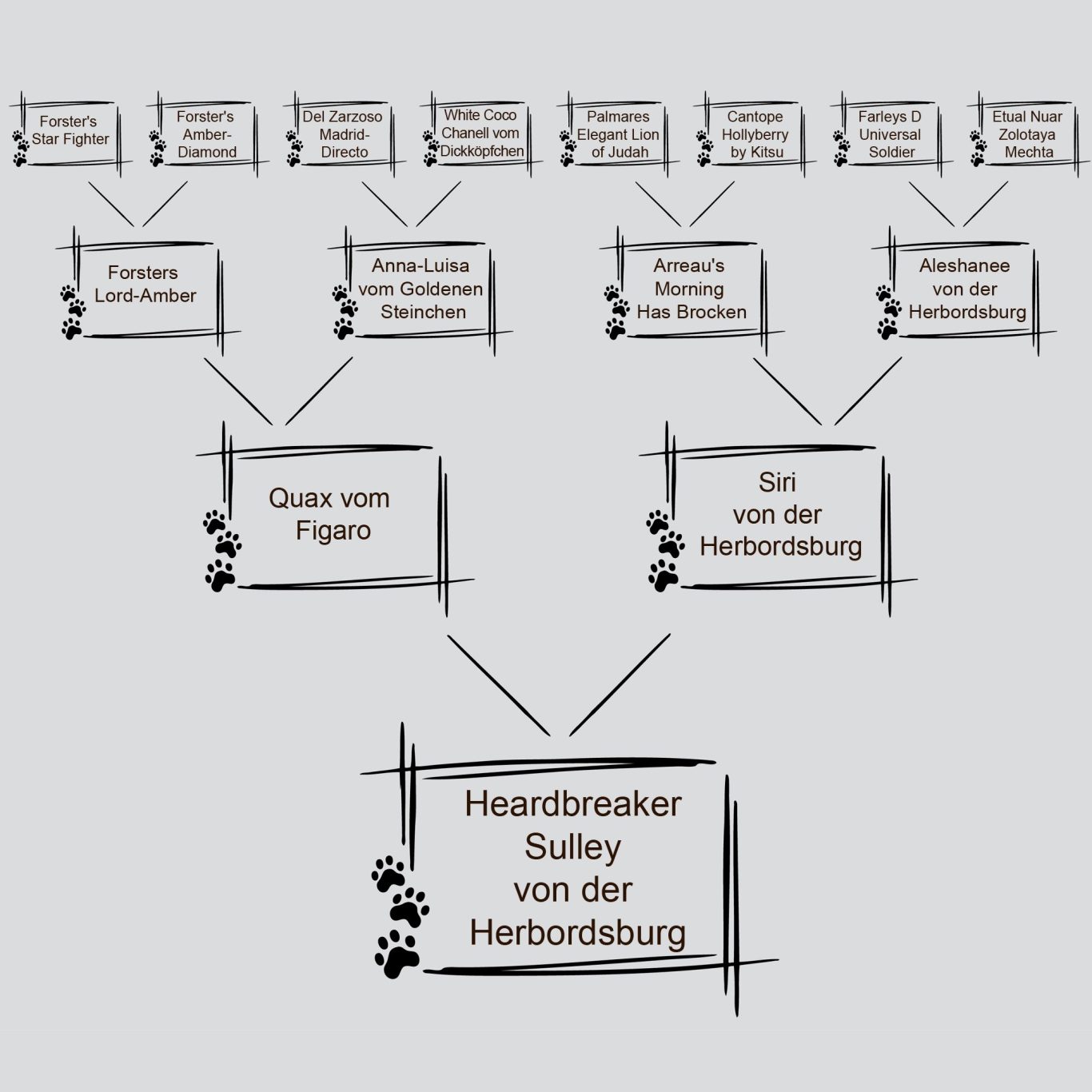 Stammbaum von Heartbreaker Sulley von der Herbordsburg