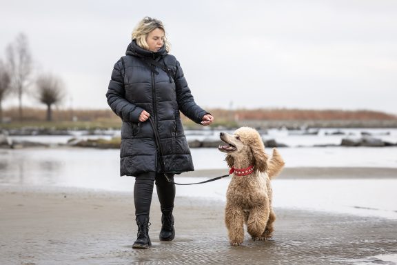 Kommandoübungen mit Ramona und Großpudel Hadi Ramona geht mit Hadi an der Leine und übt Kommandos. Im Hintergrund sieht man das Ufer und das Wasser des Stettiner Haffs bei Ueckermünde