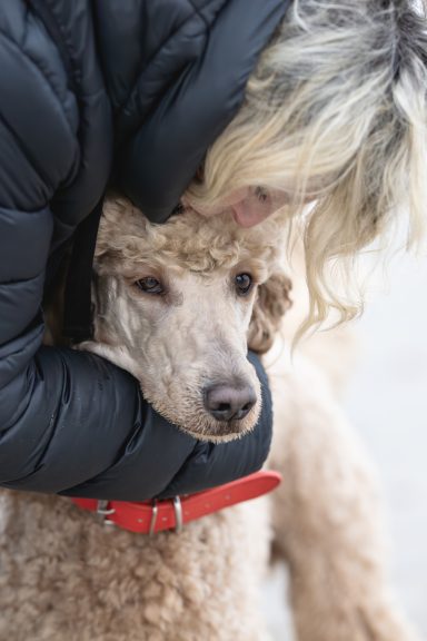 Kuschelzeit mit Frauchen Ramona und Hadi kuscheln ganz inniglich